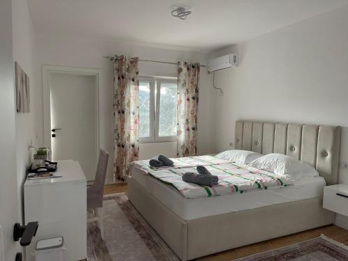 Stylish Room by Canyons & City, Çorovodë