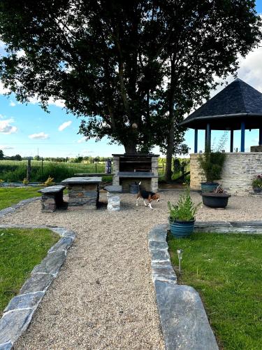 Iekārtas, Gîte calme, jardin clos, chiens bienvenus, près de Nantes (Gite calme, jardin clos, chiens bienvenus, pres de Nantes) in Jans