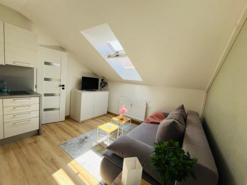 Main Square Grey Studio with Parking