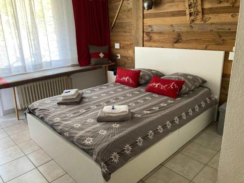 House St-George Studio Alpine with terrace and view on village