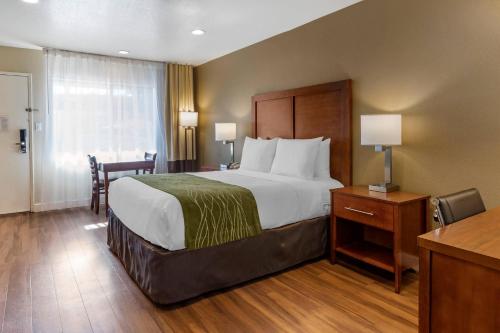 Comfort Inn Bishop - image 35