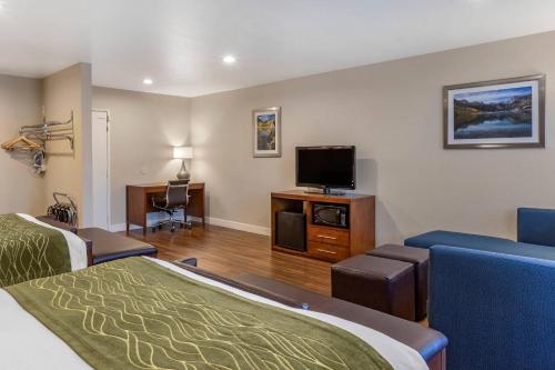 Comfort Inn Bishop - image 36