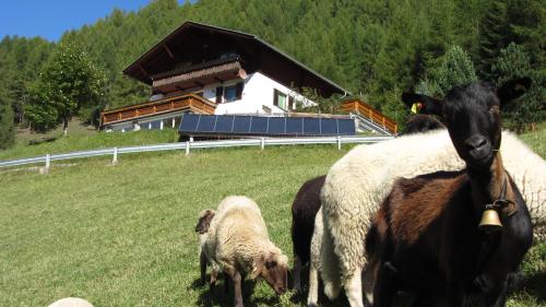 Zirbenhof in Heiligenblut