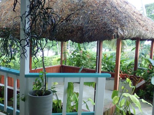 tuin, Coral Quays Resort in Aore Island