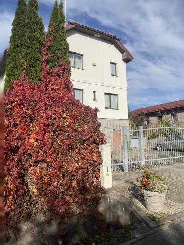 Udvendig, Comfy stay at Hill of Clouds in Rāmava
