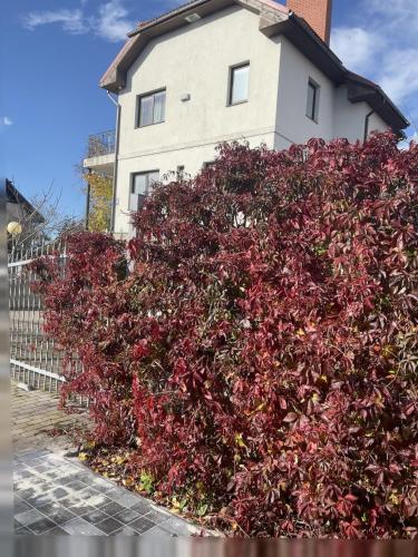 Udvendig, Comfy stay at Hill of Clouds in Rāmava