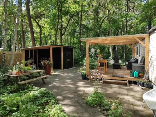 Chalet met veranda aan bosrand in Vledder