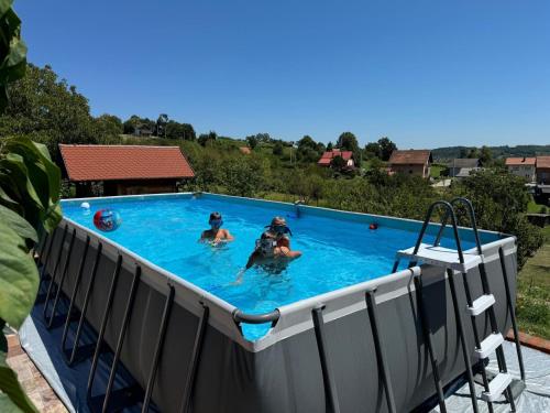 Swimming pool, Sekin Vinograd in Popovaca