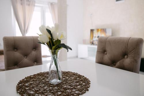 Apartmani Dejavu na Drini in Podnemić