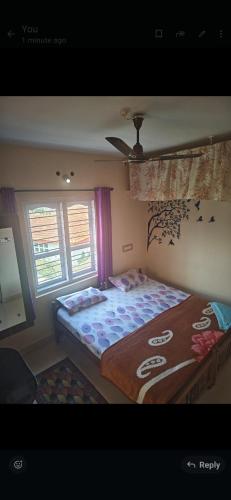 Shaun's misty homestay