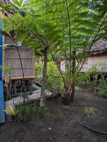 Tanna Chez Nous Bungalow & Tours in Isaka