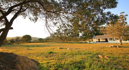 Arnion - Nature Retreat, Clanwilliam (photo 9)