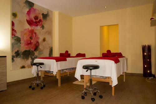 Salis Hotel & Medical Spa图片