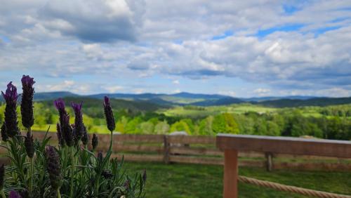 Glamping Šumava (Glamping Sumava) in Hartmanice