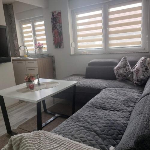 Apartman Sava