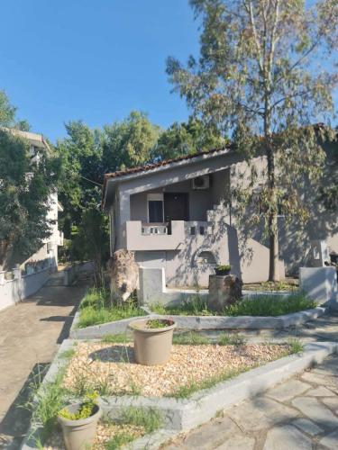 Paradise studios in 찰키디키