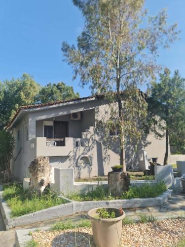 Paradise studios in 찰키디키