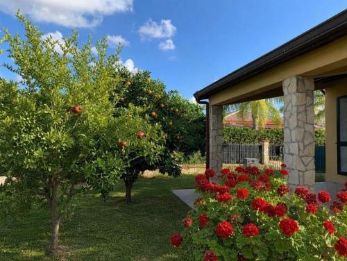 Villa Adele