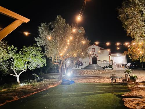 Villa Madeira in Silves