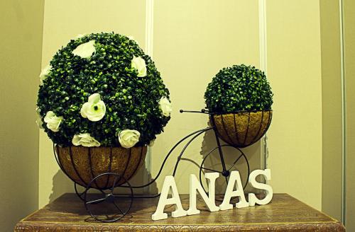 Hostal Anas