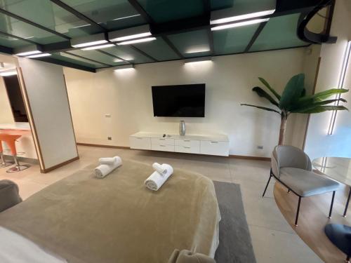Trevi Fountain Loft