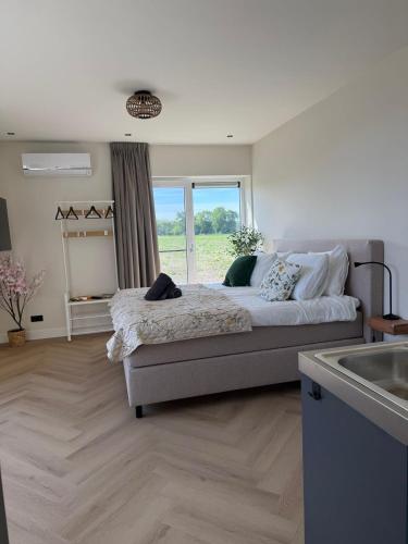 B&B Bos en Dal in Weststellingwerf