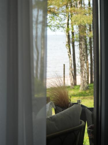 Dārzs, Pick a Quin Seaside Villa by the Baltic Sea in Skulte