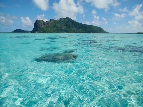 Maupiti Vatea Tour Lagon – khách sạn tại Đảo Maupiti