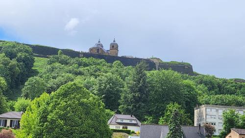 Le nid de la citadelle