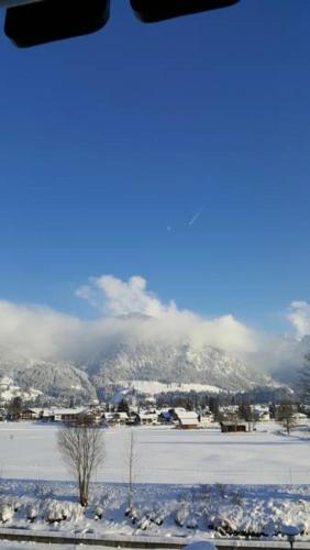 Alpenflair Ferienwohnungen Whg 205 - image 7