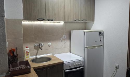 Apartman Mirkovic