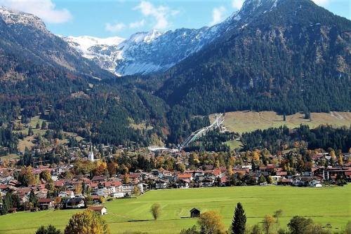 Alpenflair Ferienwohnungen Whg 205 - Apartment - Oberstdorf