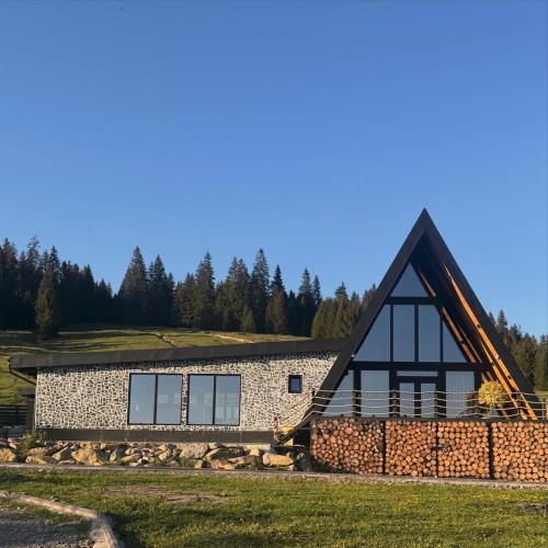 Tuli Villa in Vatra Moldovitei