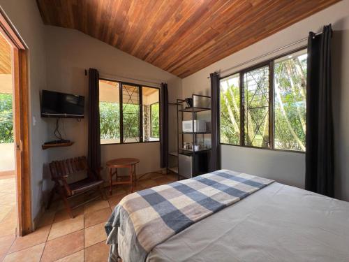 Lago Vida Cabins in Tronadora
