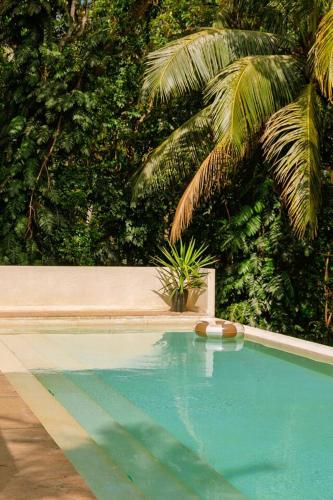 Luxury Villa in Jungle Setting with Infinity Pool and Firepit - image 4