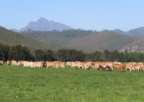 Natures Way Farmhouse Plettenberg Bay