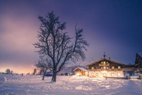 Hoferbichlgut - Apartment - Saalfelden am Steinernen Meer