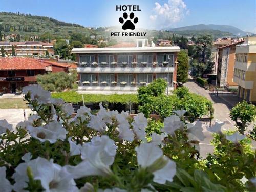 Hotel Benaco Garda ***S