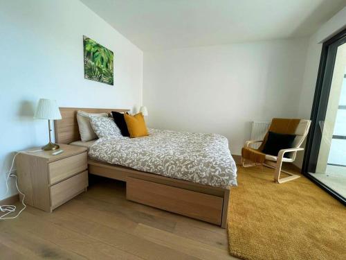 Apparté - Appartement proche Genève et Palexpo (Apparte - Appartement proche Geneve et Palexpo) in Ferney-Voltaire