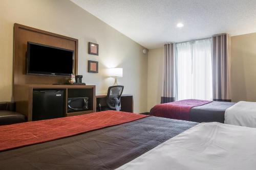 Comfort Inn Albany/Glenmont