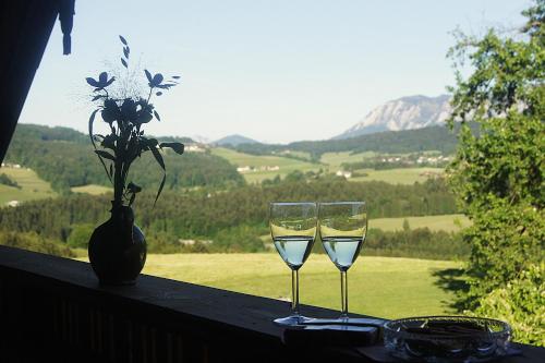 Familie Edtmayer - Rindbergerhof in Innerschwand am Mondsee