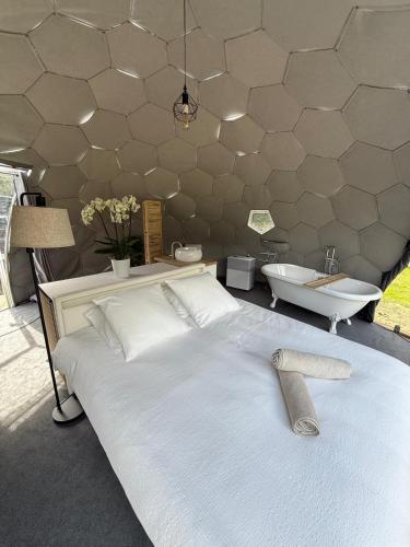 Dome & Spa - Les Cabanes De La Saye in Cavignac