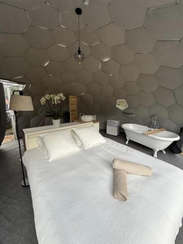 Dome & Spa - Les Cabanes De La Saye in Cavignac
