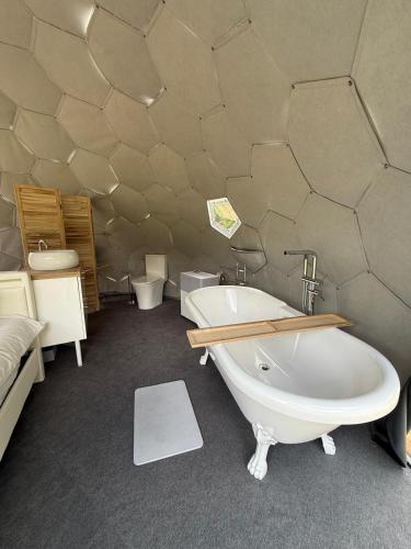 Facilities, Dome & Spa - Les Cabanes De La Saye in Cavignac