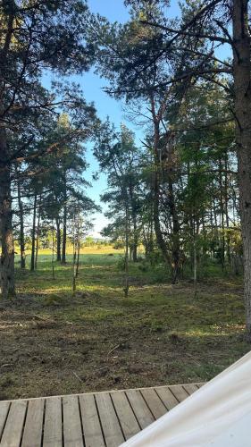 Merevaatega Glämping Sarvel (Merevaatega Glamping Sarvel) in Kärdla