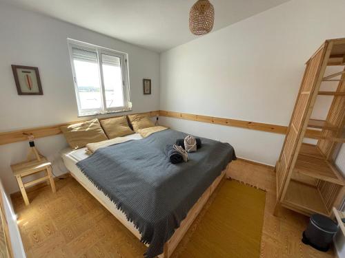 Algarve Surf House - Hostel for Hikers in Raposeira