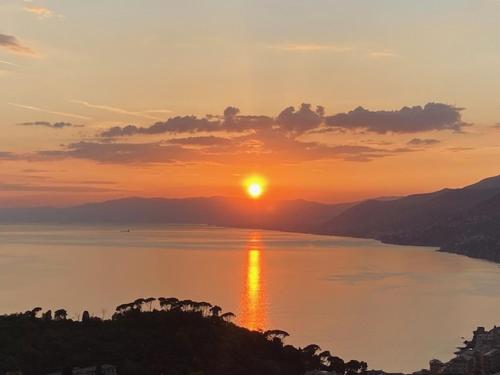 Camogli - Blue Horizon - Liguria Holidays