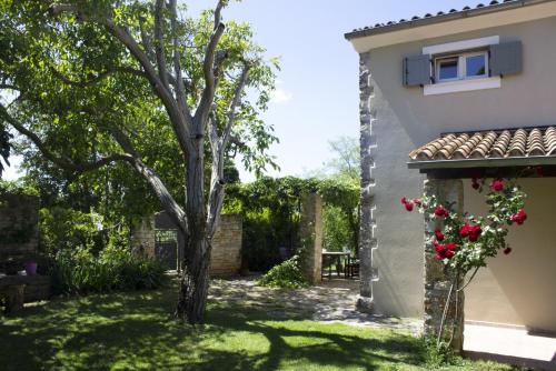 Franciska in Smoljanci - Haus für 5 Personen - Accommodation - Svetvinčenat