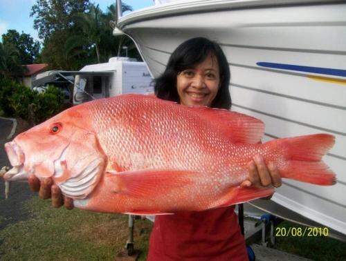 Flying Fish Point Tourist Park