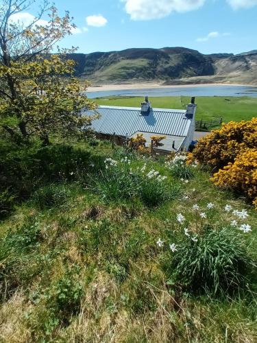 Dārzs, The Captains in Bettyhill